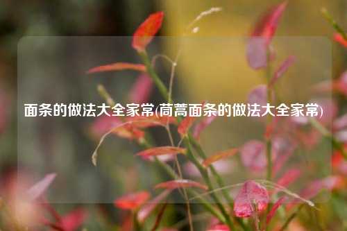 面条的做法大全家常(茼蒿面条的做法大全家常)