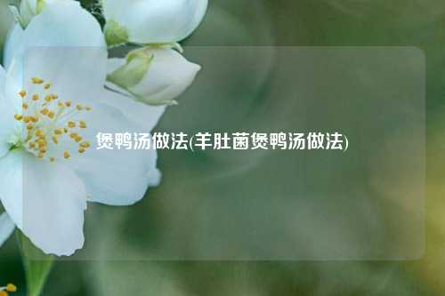 煲鸭汤做法(羊肚菌煲鸭汤做法)