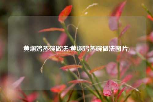黄焖鸡蒸碗做法(黄焖鸡蒸碗做法图片)