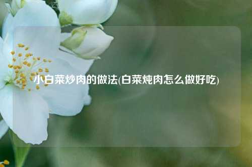 小白菜炒肉的做法(白菜炖肉怎么做好吃)