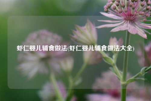 虾仁婴儿辅食做法(虾仁婴儿辅食做法大全)