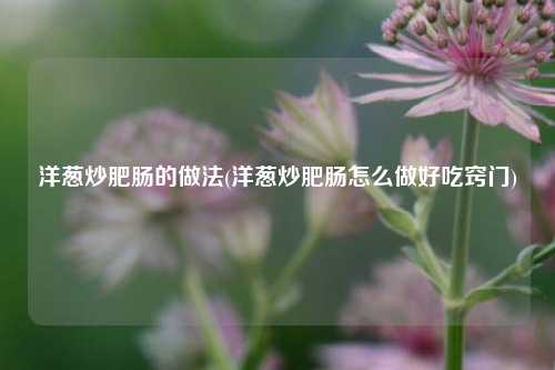 洋葱炒肥肠的做法(洋葱炒肥肠怎么做好吃窍门)