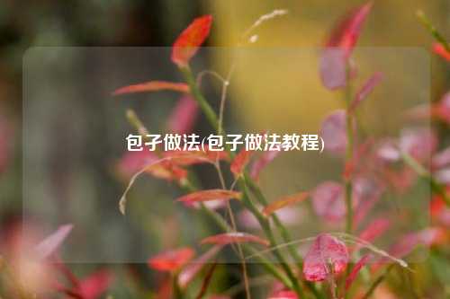 包孑做法(包子做法教程)
