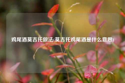 鸡尾酒莫吉托做法(莫吉托鸡尾酒是什么意思)