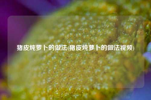 猪皮炖萝卜的做法(猪皮炖萝卜的做法视频)