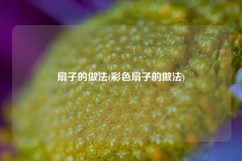 扇子的做法(彩色扇子的做法)