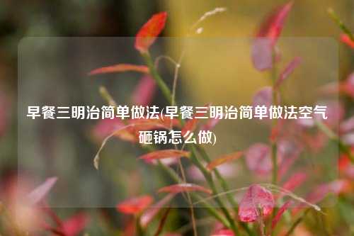 早餐三明治简单做法(早餐三明治简单做法空气砸锅怎么做)