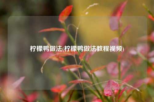 柠檬鸭做法(柠檬鸭做法教程视频)