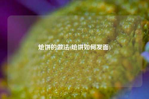 炝饼的做法(炝饼如何发面)